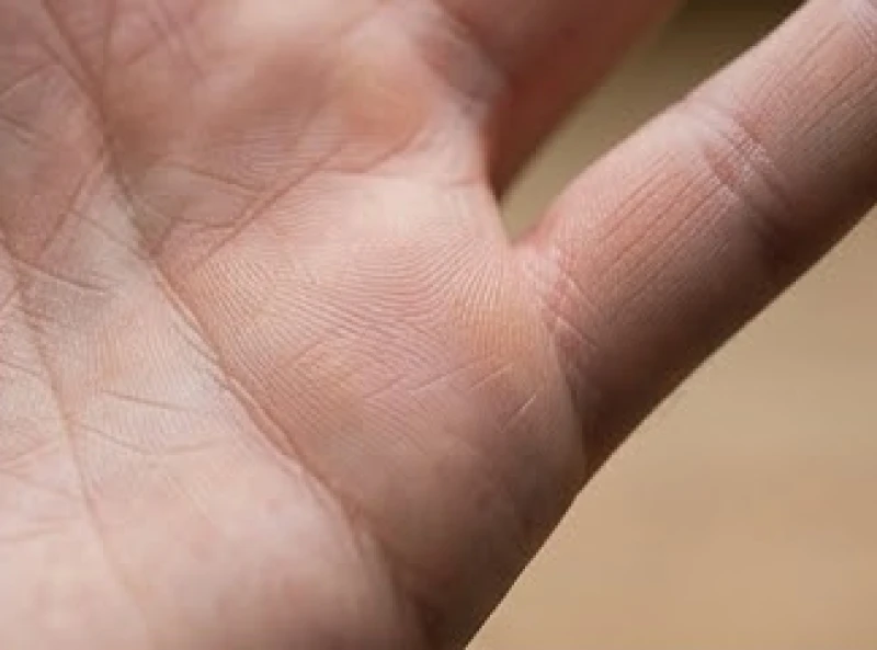 Cận cảnh phần thịt nhô cao dưới gốc ngón út được gọi là gò Sao Thủy, nơi khởi nguồn của đường sức khỏe