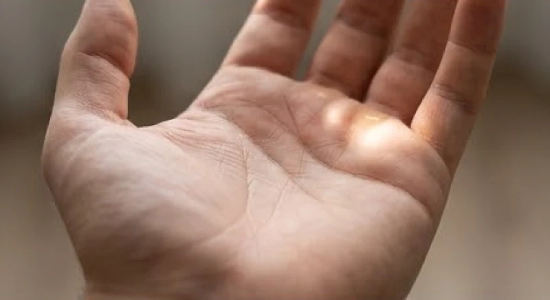 Vị trí gò Thổ tinh nhô cao nằm ngay dưới gốc ngón tay giữa giúp định vị đường sự nghiệp nằm ở đâu