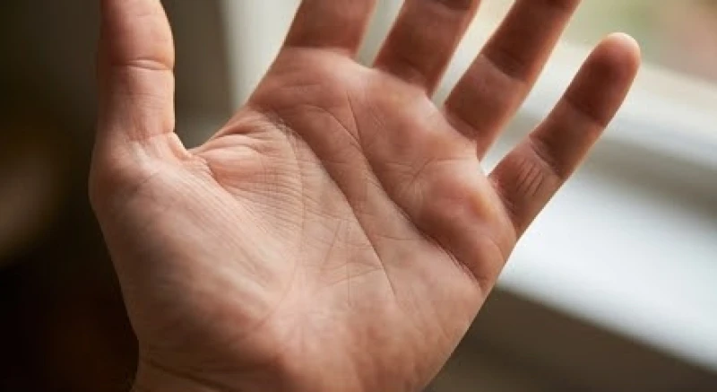 Đường chỉ tay tiền tài: Quy tắc xem chuẩn nam nữ và nhận diện 1 Vị trí gò Thủy Tinh nhô cao dưới gốc ngón tay út biểu thị năng lực kinh doanh