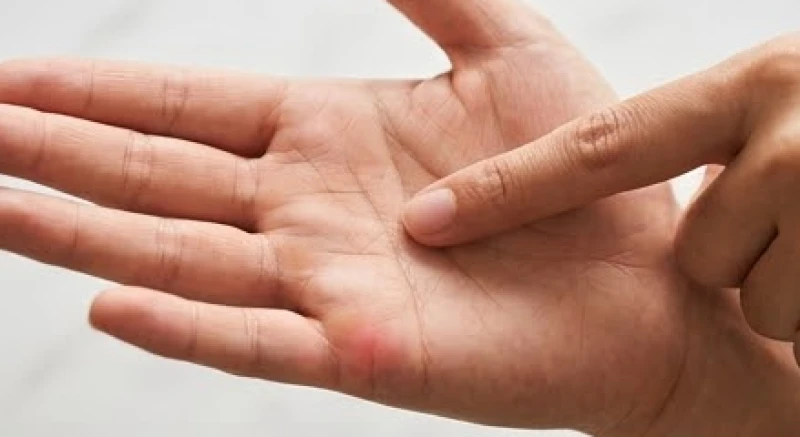 Cách xem số con qua chỉ tay: Quy tắc chọn tay và đếm vân 1 Vị trí gò Thủy Tinh dưới ngón út trên lòng bàn tay giúp xác định đường con cái
