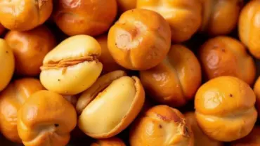 Hạt macca chín vàng thơm ngon