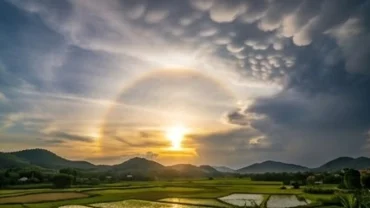 Bầu trời xuất hiện đám mây vảy rồng và vầng hào quang giải mã hiện tượng lạ trên bầu trời là điềm gì