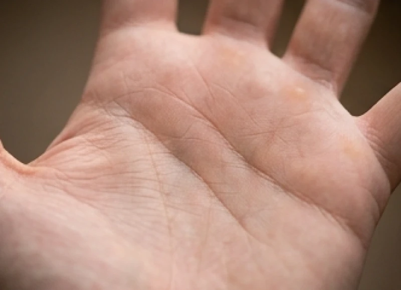 Lòng bàn tay với đường tâm đạo cong uyển chuyển hướng lên khe giữa ngón trỏ và ngón giữa