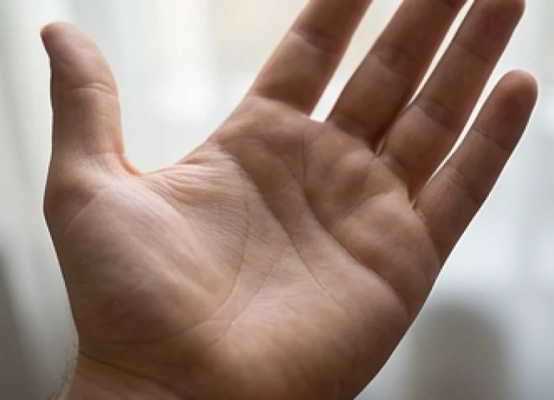 Vùng trũng chính giữa lòng bàn tay tạo thành hố tụ thủy giữ lại vượng khí