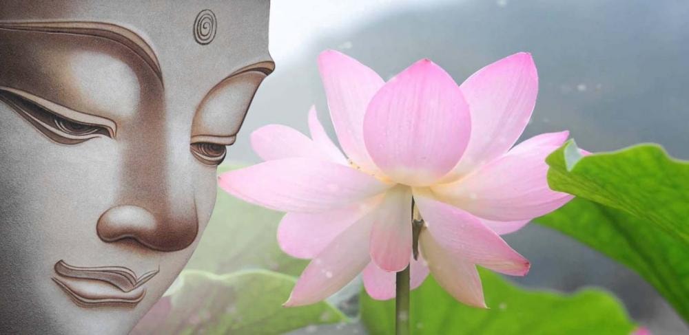 Hoa sen là một trong tám biểu tượng của Phật giáo.
