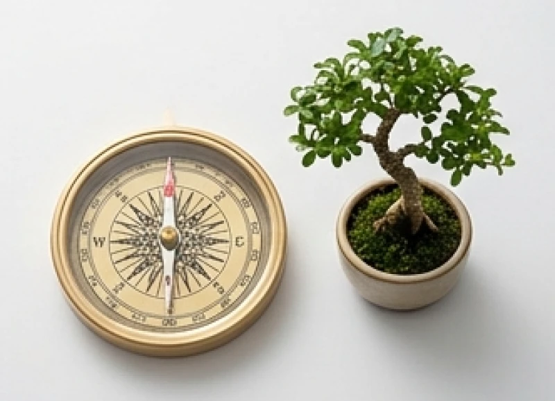 La bàn phong thủy chỉ về hướng Bắc Sinh Khí đặt cạnh cây bonsai tươi tốt