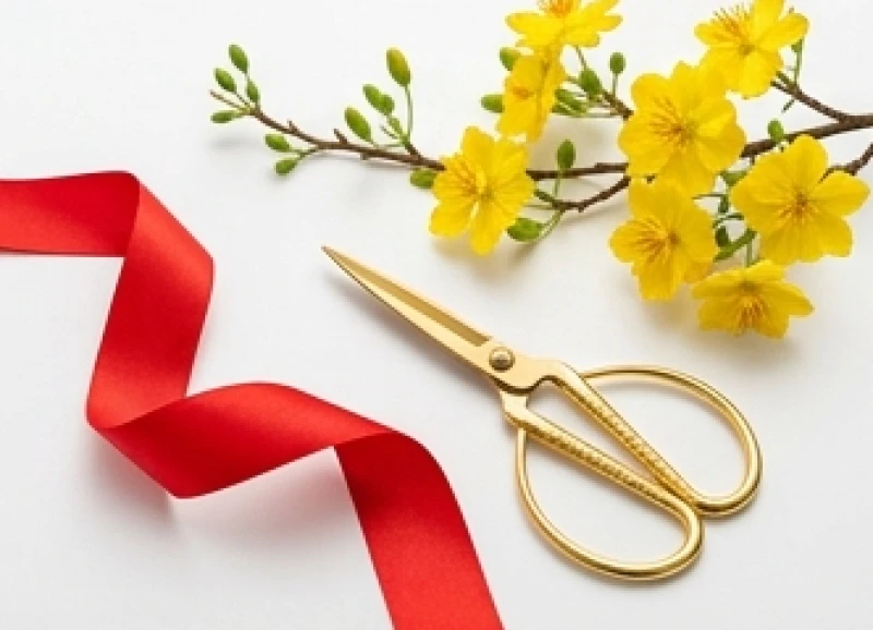 Dải ruy băng đỏ và cành mai vàng rực rỡ được chuẩn bị sẵn sàng cho nghi lễ khai trương