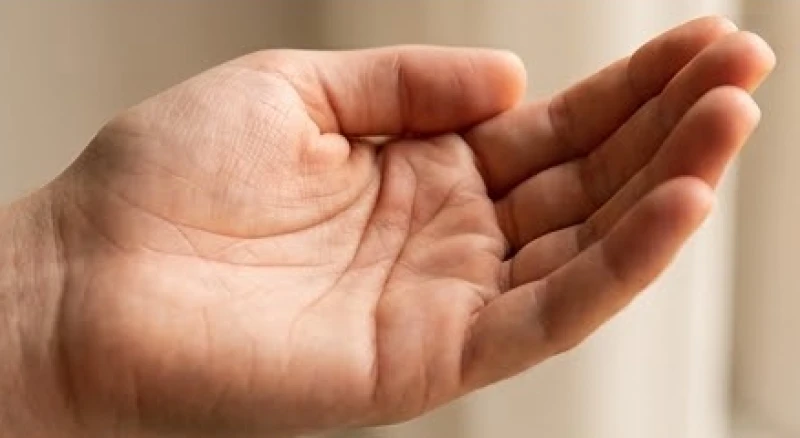 Đường tâm đạo nằm ở đâu: Cách xác định chuẩn và đọc vị tình duyên 3 Bàn tay khép hờ tạo thành hình chiếc bát giúp làm nổi bật độ song song giữa đường tâm đạo và đường trí đạo