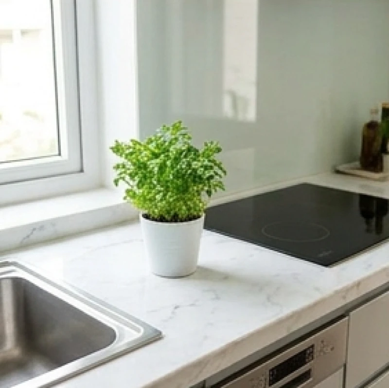Hướng bếp hợp tuổi Ngọ: quy tắc chọn tuổi và đo bằng hướng lưng 9 Chậu cây xanh nhỏ đặt làm vùng đệm giữa bồn rửa inox và bếp từ để hóa giải xung khắc thủy hỏa