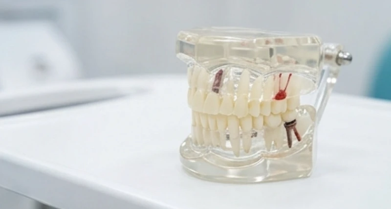 Cấu trúc khớp cắn lệch do tướng răng hô gây khó khăn trong việc nghiền nát thức ăn