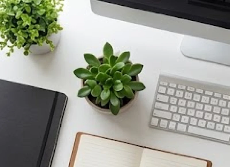 Chậu cây cảnh có đường kính dưới 15cm được đặt gọn gàng cạnh bàn phím máy tính mà không chiếm nhiều diện tích thao tác