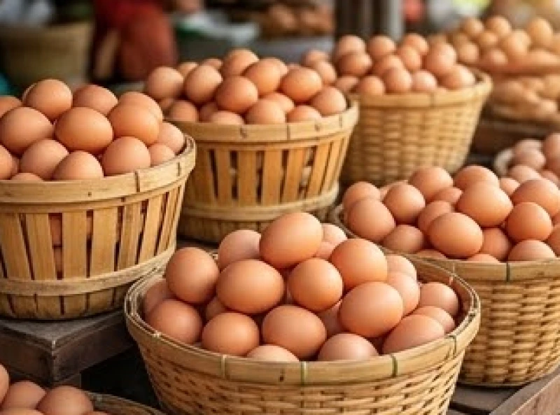 Mơ thấy ổ trứng gà: Tra cứu điềm báo bối cảnh và số tài lộc 5 Những chiếc rổ tre chứa đầy trứng gà tươi phản ánh sự bùng nổ mạnh mẽ về mặt tài chính