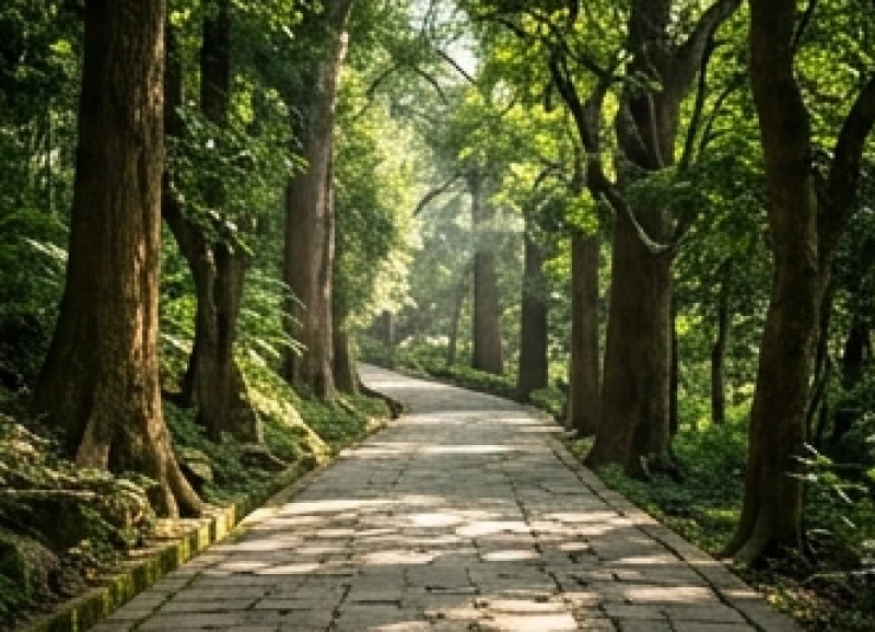 Văn khấn tại Đền Hùng: Bài khấn từng đền và lộ trình dâng hương 5 Con đường đá đi bộ thoai thoải rợp bóng mát dẫn lối người hành hương từ đỉnh núi xuống Đền Giếng