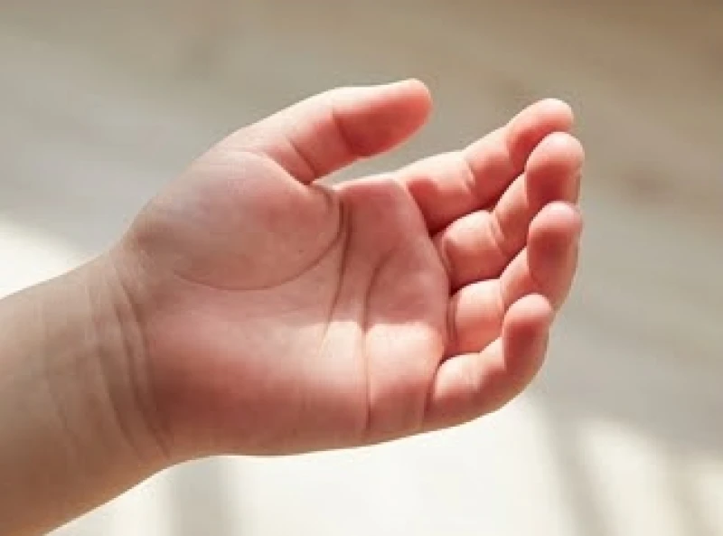 Tướng bàn tay nhỏ: Cách đo chuẩn cm và luận vận mệnh Nam Nữ 9 Độ dày dặn và sắc thái hồng hào trên lòng bàn tay nhỏ nhắn đại diện cho phúc khí sâu dày
