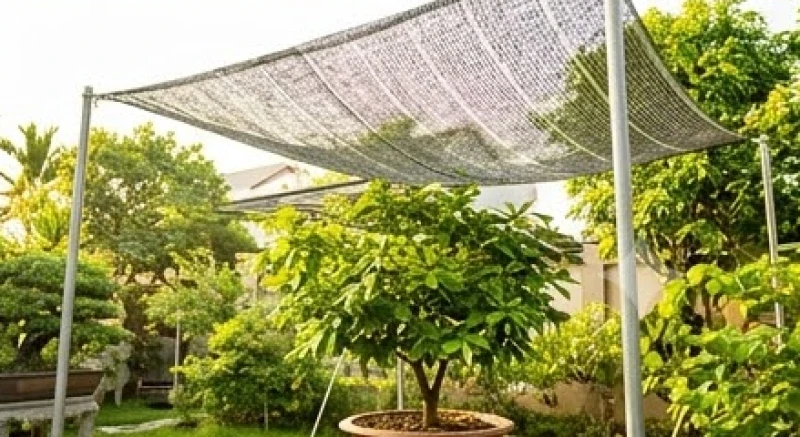 Lớp lưới lan xám đen che phủ phía trên tán cây phong thủy mới trồng giúp cản bớt bức xạ nhiệt gay gắt