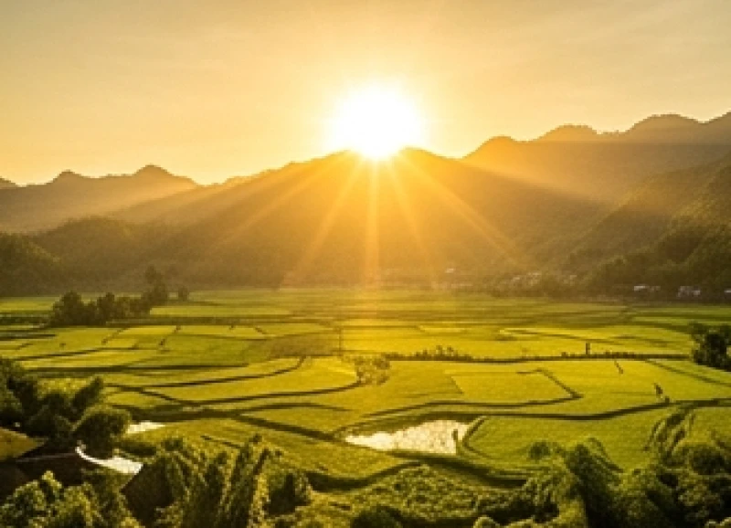 Tử vi tuổi Mùi trọn đời: Đối chiếu nam nữ và 12 tháng sinh 3 Ngọn lửa ấm áp tỏa sáng rực rỡ tượng trưng cho sức mạnh của bản mệnh Thiên Thượng Hỏa