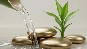Dòng nước trong xanh bao quanh khối kim loại sáng bóng và trực tiếp nuôi dưỡng mầm cây non thể hiện mệnh Thủy hợp mệnh gì