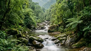 Khung cảnh thiên nhiên sông nước bình yên tại vùng quê Việt Nam giúp xoa dịu những lo lắng từ giấc mơ bị đỉa cắn