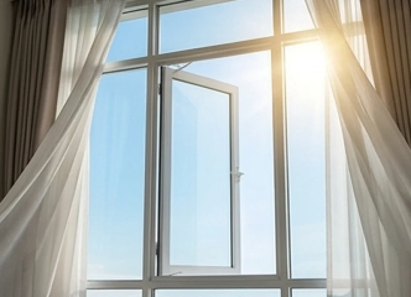 Chim bay vào nhà là điềm gì: Giải mã theo loài & cách xử lý 9 Cửa sổ lớn bằng kính được mở toang đón ánh nắng mặt trời tạo lối thoát cho chim