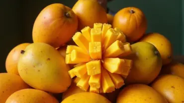 Mơ thấy ăn nhiều xoài chín mọng