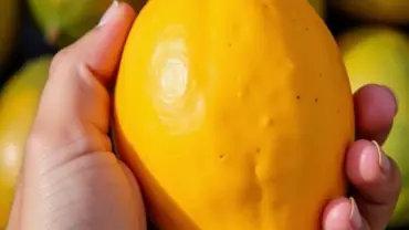 Mơ thấy bán đu đủ chín vàng