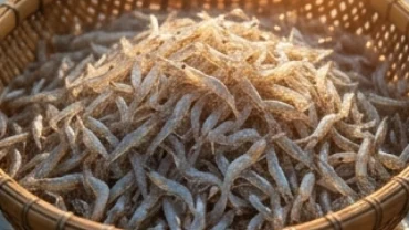 Mẻ tép tươi sống nhảy tanh tách trong lưới dưới nắng sớm thể hiện ý nghĩa mơ thấy bắt được nhiều tép