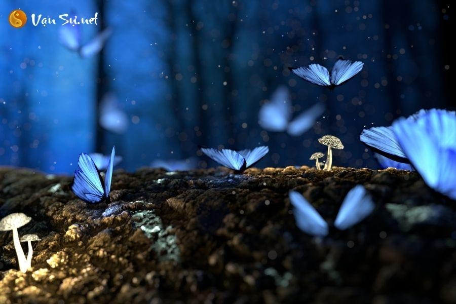 Mơ thấy bướm bay là điềm báo gì?