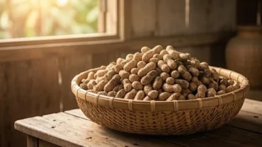 Giấc mơ thấy củ lạc căng mẩy vừa thu hoạch báo hiệu điềm lành về tài lộc và sự nghiệp