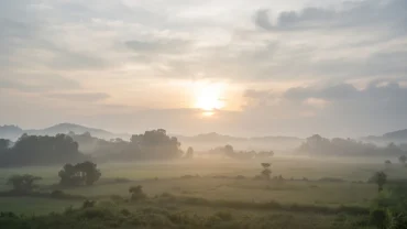 Giấc mơ thấy đám ma người thân đại diện cho sự kết thúc của một giai đoạn đầy khó khăn để nhường chỗ cho các khởi đầu mới