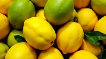 Mơ thấy được cho nhiều bưởi