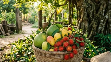 Hình ảnh điềm báo sung túc từ giấc mơ thấy hái trái cây chín mọng trong khu vườn