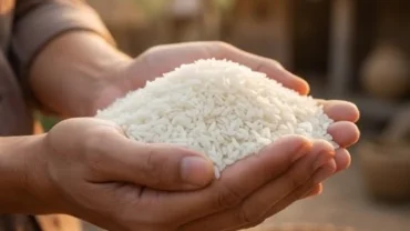 Hai bàn tay nâng dâng những hạt gạo trắng ngần đầy ắp, biểu tượng tài lộc sung túc khi mơ thấy người ta cho gạo