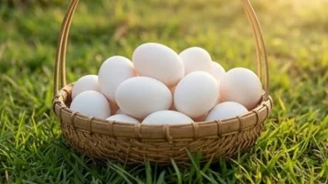 Người phụ nữ ôm giỏ mây chứa đầy trứng vịt trắng muốt giữa khung cảnh làng quê Việt Nam thanh bình
