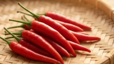 Cầm trên tay những quả ớt chín đỏ tươi tượng trưng cho điềm báo may mắn tài lộc khi mơ thấy quả ớt