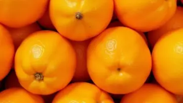 Mơ thấy quả quýt chín vàng