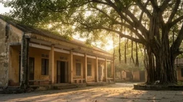 Giấc mơ thấy trường học với hình ảnh ngôi trường quen thuộc gợi lên ký ức tuổi học trò và áp lực cuộc sống