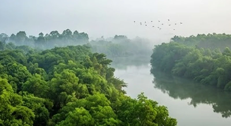 Văn khấn thả chim phóng sinh: Bài cúng chuẩn và cách thả an toàn 4 Khu vực sinh thái ven sông với nhiều cây cối rậm rạp tạo bóng mát lý tưởng để thả chim hoang dã