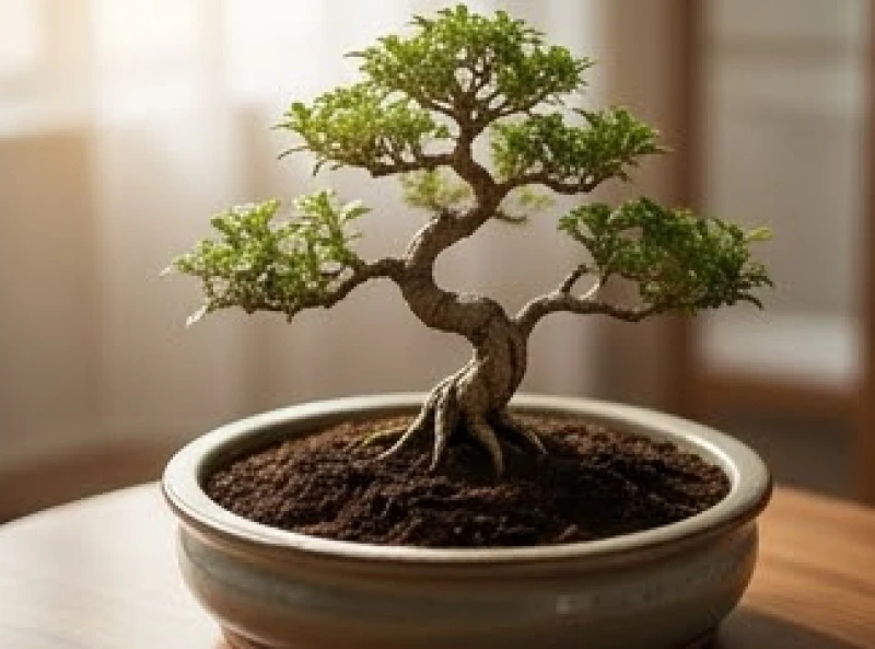 Tướng người có giọng nói trầm: Luận vận mệnh và cách luyện giọng 2 Đất đai màu mỡ và vững chãi tượng trưng cho tính điềm tĩnh của người mang năng lượng Âm Thổ