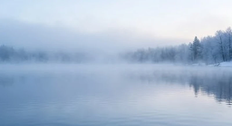 Mơ thấy cá hải tượng: Điềm báo cát hung và bộ số theo mùa 7 Mặt hồ phẳng lặng tĩnh mịch trong làn sương mù mờ ảo đặc trưng của ngày mùa đông