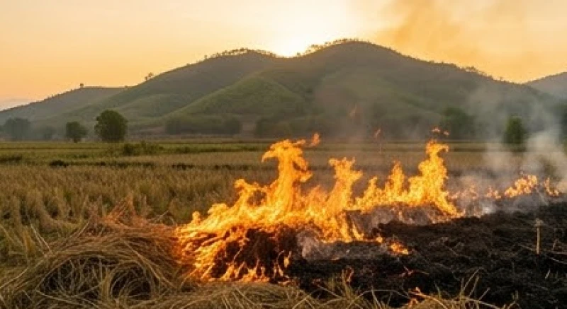 Sơn Hạ Hỏa là gì: Bảng tra tuổi, màu xe, hướng nhà và con số 1 Ngọn lửa nhân tạo dùng để đốt nương làm rẫy dưới chân đồi thể hiện tính thực tiễn của mệnh Sơn Hạ Hỏa