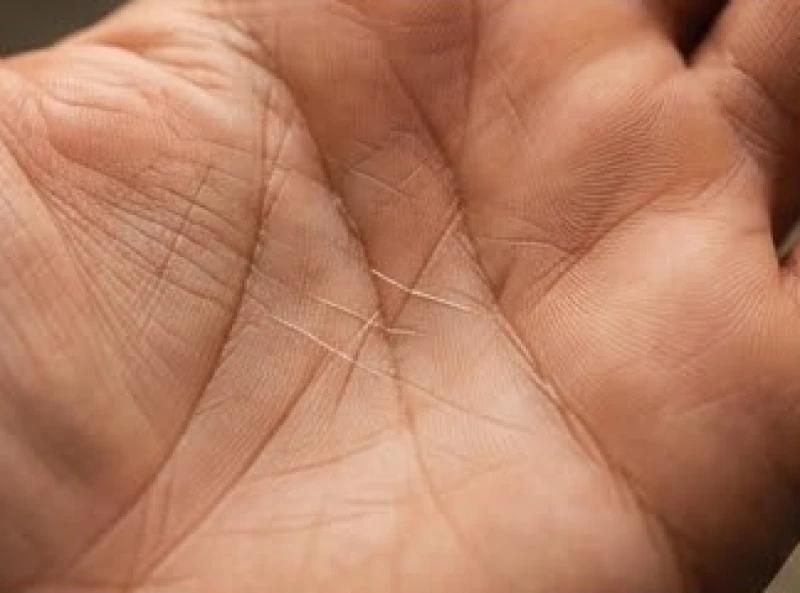 Đường Tình Duyên Bị Đứt Đoạn: Ý Nghĩa Chi Tiết & Cách Hóa Giải 5 Nét chỉ tay mờ nhỏ kết nối và nối liền hai đoạn đứt gãy trên đường tâm đạo