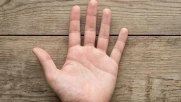 Bàn tay có ngón trỏ ngắn hơn ngón áp út thể hiện rõ các đặc điểm sinh lý bẩm sinh và sức sống mạnh mẽ