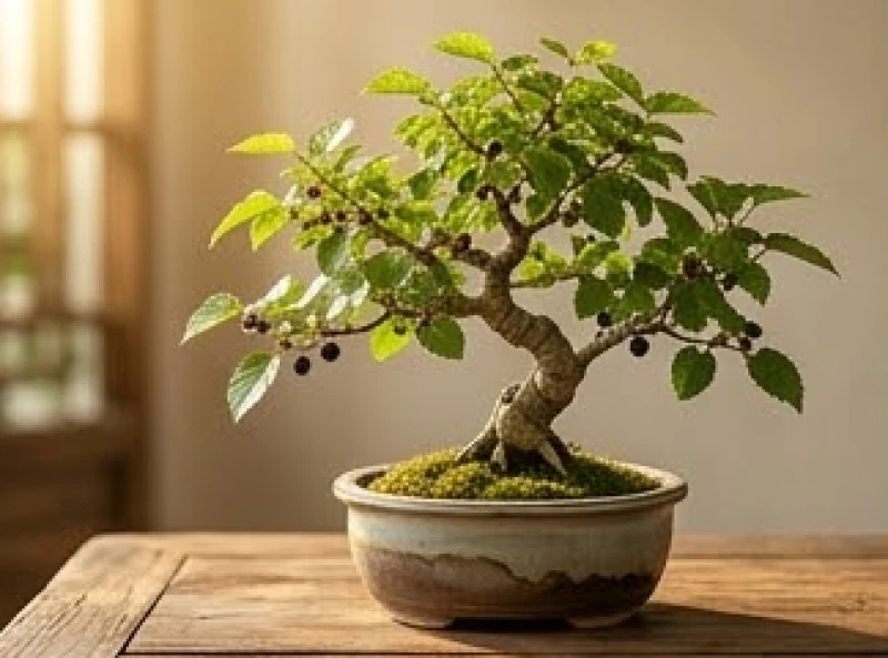 Sự sinh trưởng mạnh mẽ của cây dâu tằm đại diện cho bản mệnh Tang Đố Mộc của nam mạng Quý Sửu