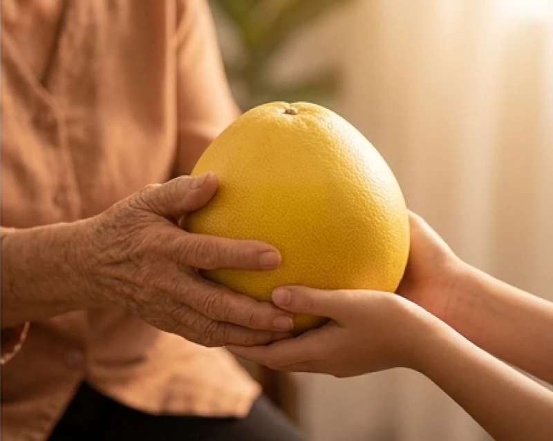 Đôi bàn tay của người lớn tuổi đang trao một quả bưởi chín vàng cho người trẻ, tượng trưng cho sự đùm bọc từ gia đình