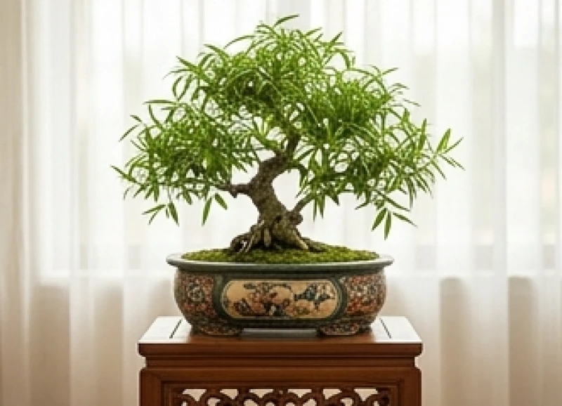 Chậu cây bonsai tươi tốt biểu tượng cho mệnh Dương Liễu Mộc của tuổi Nhâm Ngọ