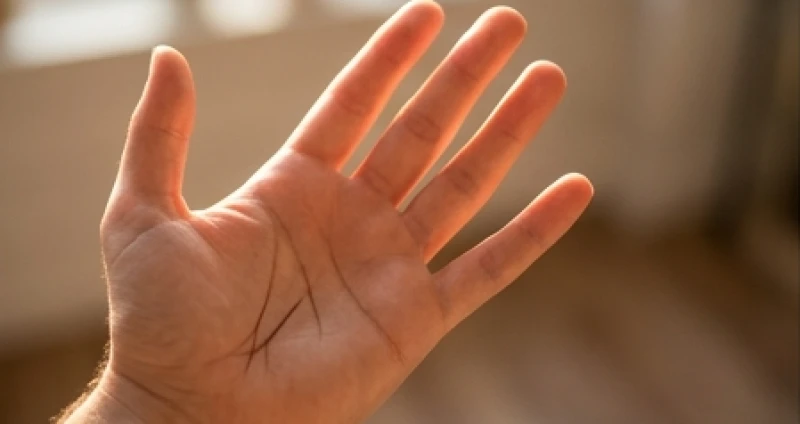 Vết chẻ đôi ở cuối sinh đạo tạo thành hình ngã ba chữ V sắc nét dưới ánh sáng tự nhiên