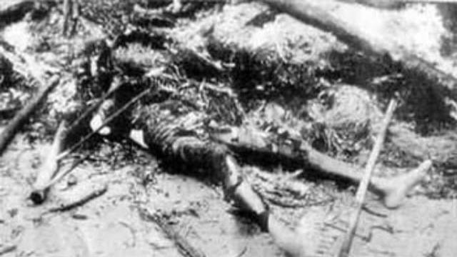 Thi thể một nạn nhân bị đốt cháy bởi Sư đoàn 2 Thủy quân lục chiến Hàn Quốc, ở làng Phong Nhất và Phong Nhị, tỉnh Quảng Nam, miền Nam Việt Nam vào ngày 12 tháng 2 năm 1968
