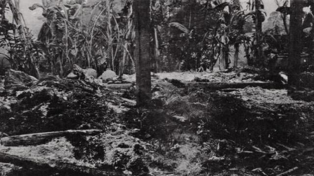 Quang cảnh xung quanh ngôi làng bị thiêu cháy bởi binh sĩ Hàn Quốc trong vụ Thảm sát Phong Nhất và Phong Nhị năm 1968
