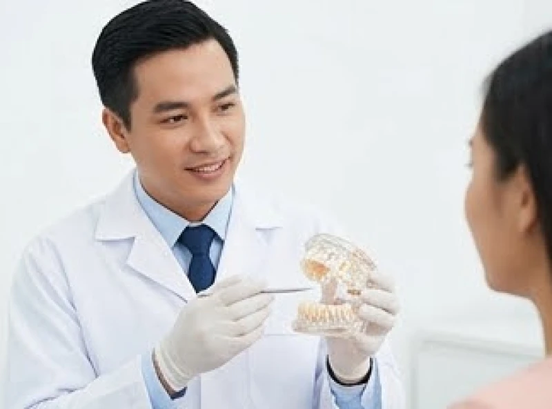 Tướng răng cửa to: Giải mã vận mệnh nam nữ và bảng giá làm nhỏ 7 Bác sĩ nha khoa cầm mô hình hàm răng để tư vấn phương pháp chỉnh nha phù hợp cho khách hàng
