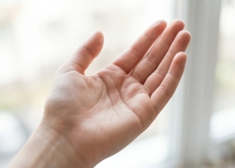 Nốt ruồi nhỏ nhắn nằm ẩn sâu giữa lòng bàn tay được xem là điểm tụ khí mang lại vượng lộc
